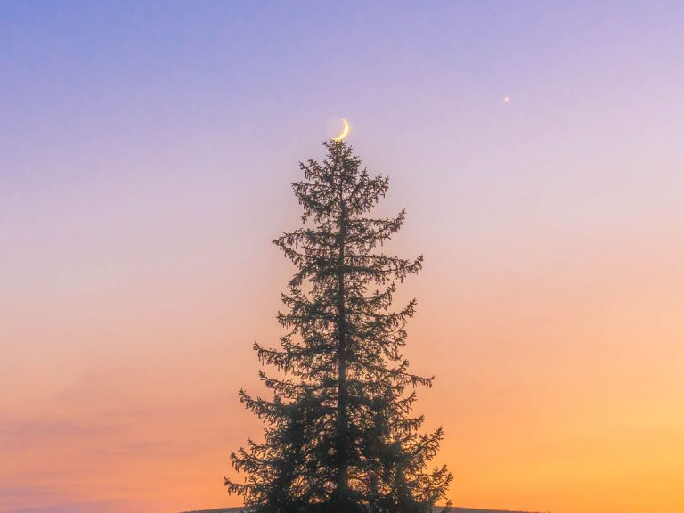 Japanese photog captures the moment nature and the heavens aligned to create a Xmas tree