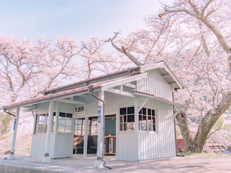 Magical abandoned Japanese train station has people seeing anime brought to life