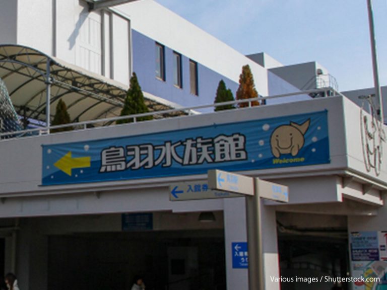 Japanese aquarium’s company entrance ceremony will make you do a double-take