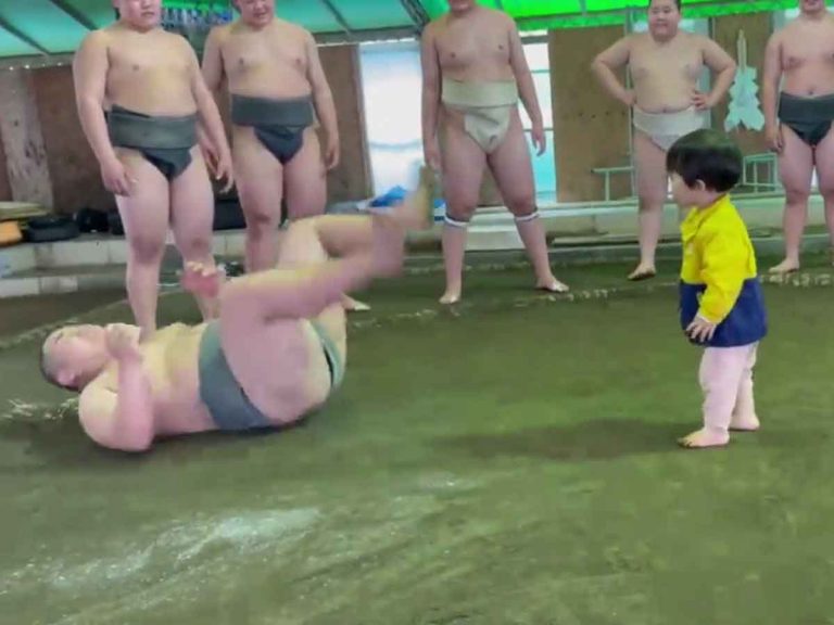 1-year-old impresses with adorable technique in sumo wrestling debut