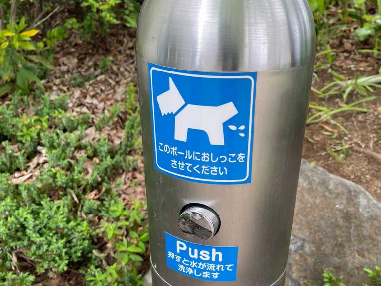 Flushing Doggy Pee Pole in Tokyo becomes envy of dog owners around country