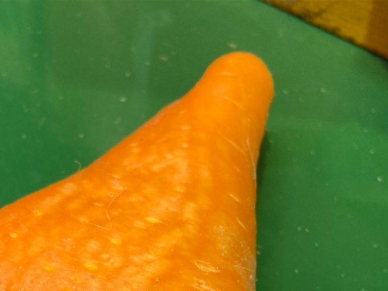 “I haven’t seen something like this in 10 years of farming!”  Mutant crepe carrot befuddles netizens