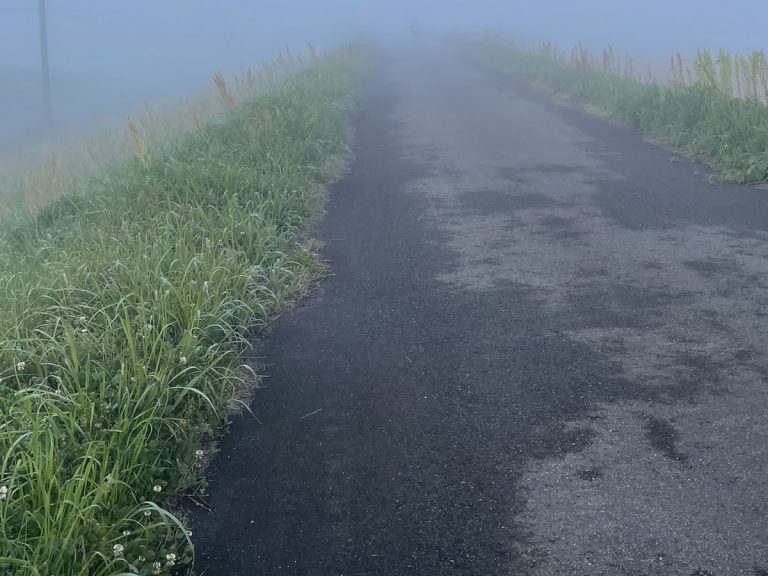 Cyclist in Japan discovers Silent Hill on everyday road