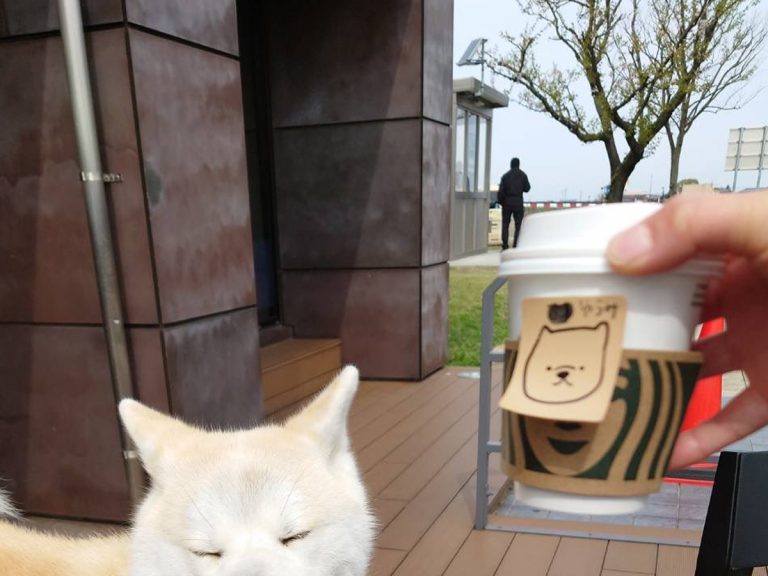 Japanese Starbucks employee brightens dog owner’s day by adding pet portrait to drink order