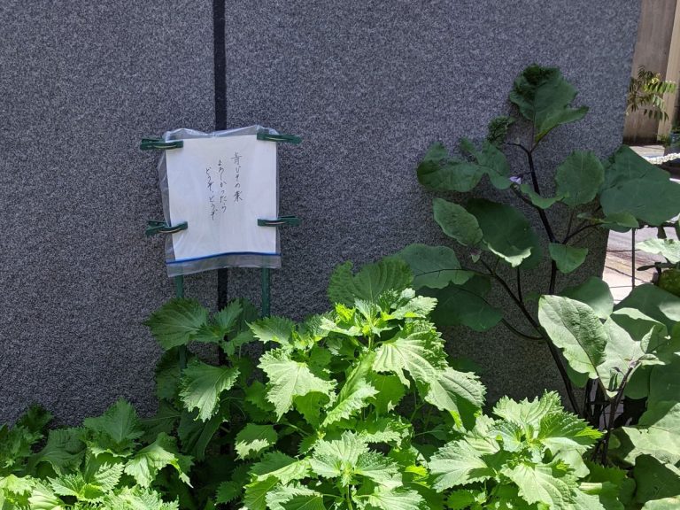 Japanese neighborhood gardener’s generous note melts hearts online