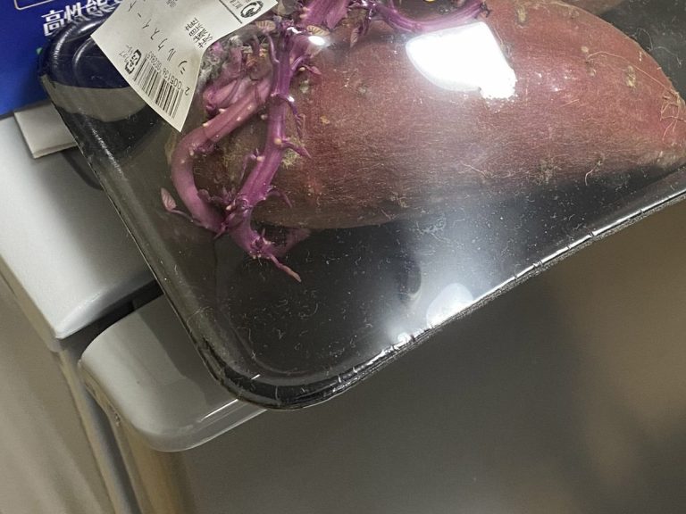 After leaving their sweet potatoes alone for a month, Twitter user finds they’ve turned into Lovecraftian monster
