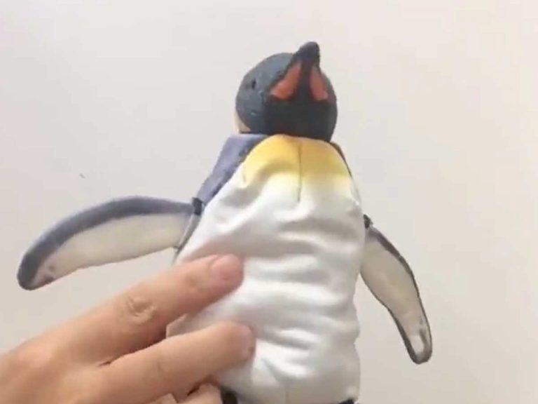 Japan’s evolving penguin plushie is too adorably genius