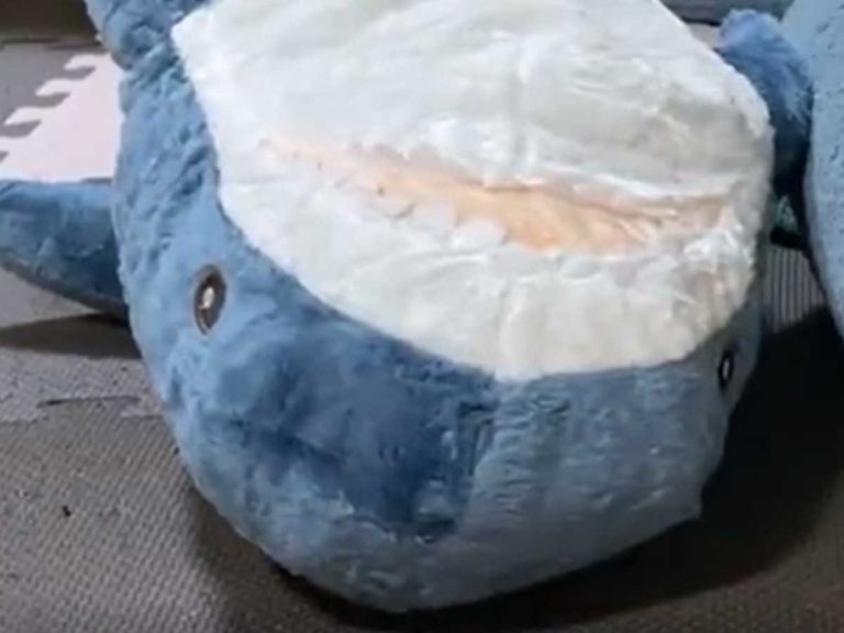 Cat gives IKEA’s shark mascot a massage in hypnotizing video