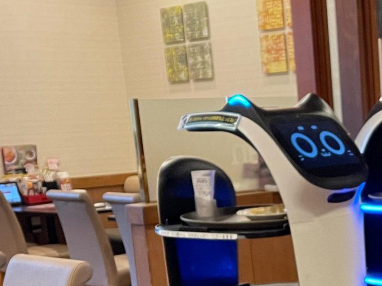 Japan’s cat robot waiters keep getting in fights with each other at family restaurants