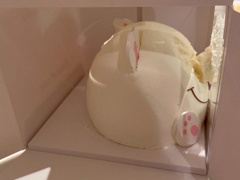 Carrying mishap turns Japanese character cake into gruesome horror scene