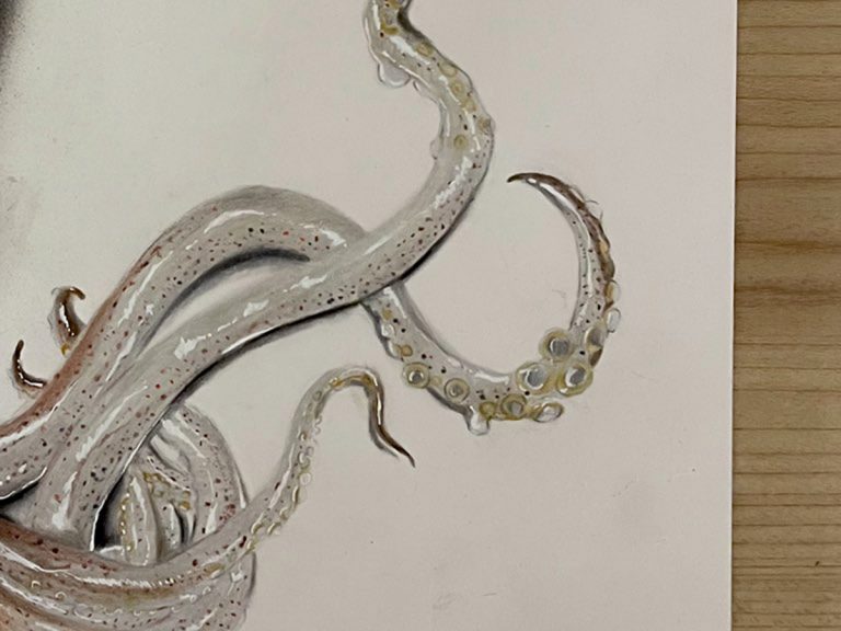 Incredible 3-D art squid almost looks too real