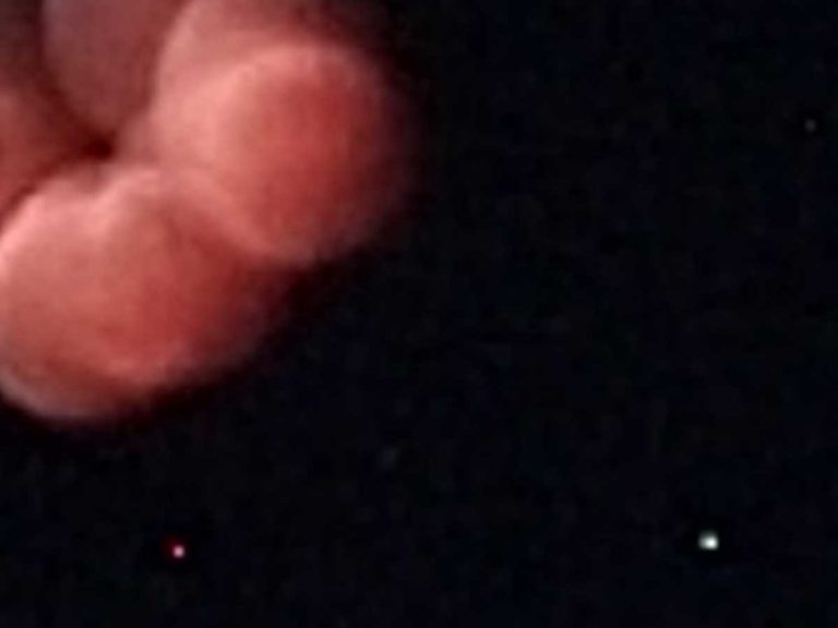 Failed photo of blood moon total lunar eclipse has foodies laughing in Japan
