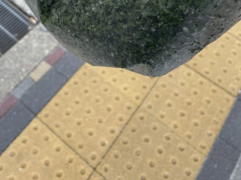 Japanese man questioned by police for holding a bag of “greens”