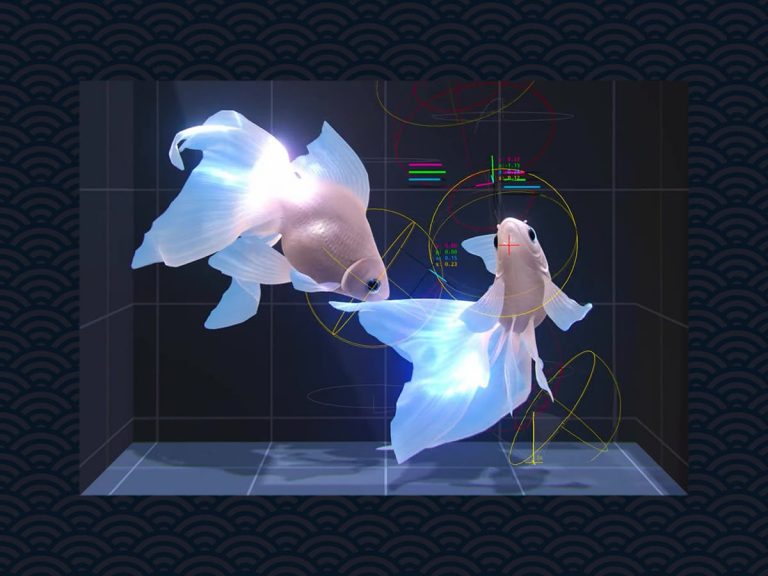Japanese indie app developer’s lifelike AI-controlled CG goldfish have Twitter stunned