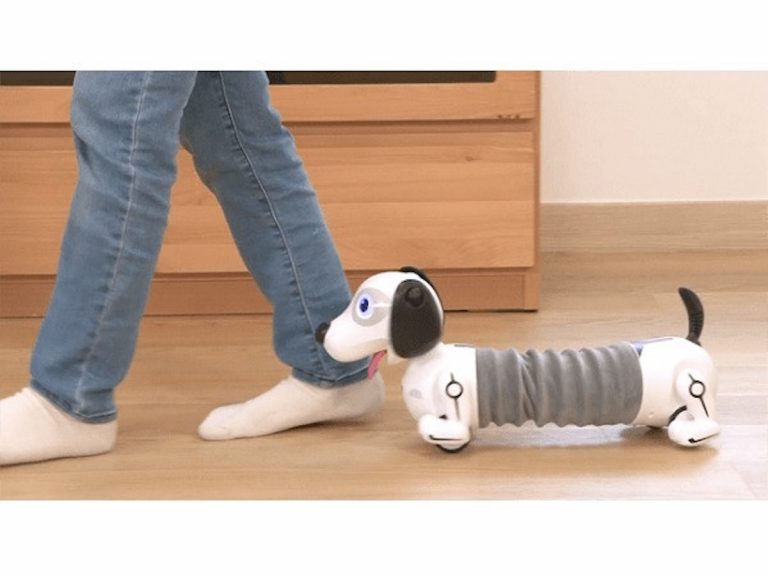 Bongo the Robot Dog: like a real dog but quieter, cleaner and cheaper