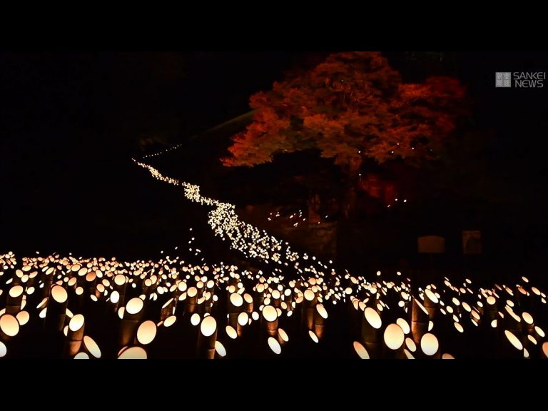20,000 Bamboo Lanterns Light Up This Charming Japanese Castle Town Once A Year