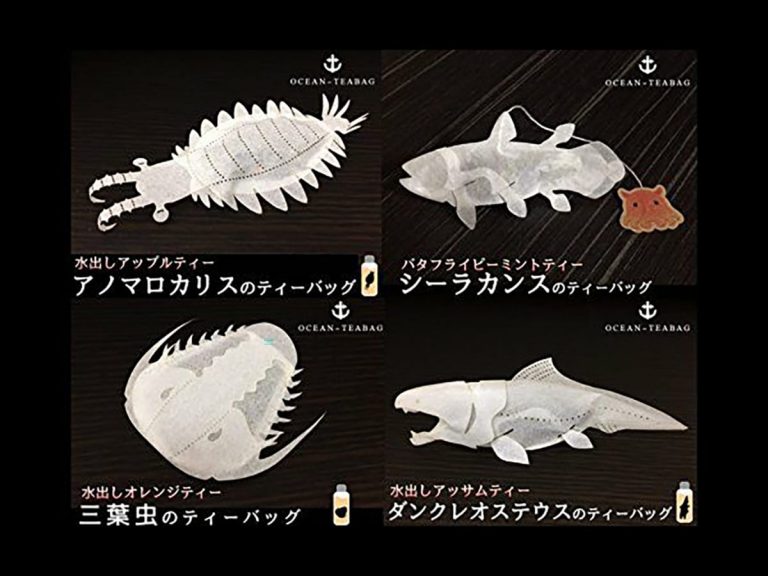 Prehistoric critters come alive in your tea cup with this Japanese teabag series