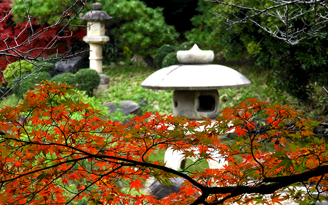 Enjoy Fall Colors in Tokyo at Shinjuku Gyoen National Garden