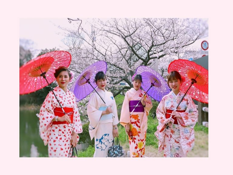 Japan Sakura Hanami Guide: Best Cherry Blossom Viewing Spots in Fukuoka