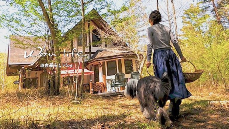 Woman’s Japanese countryside life with dogs has people thinking she’s living out Ghibli movies