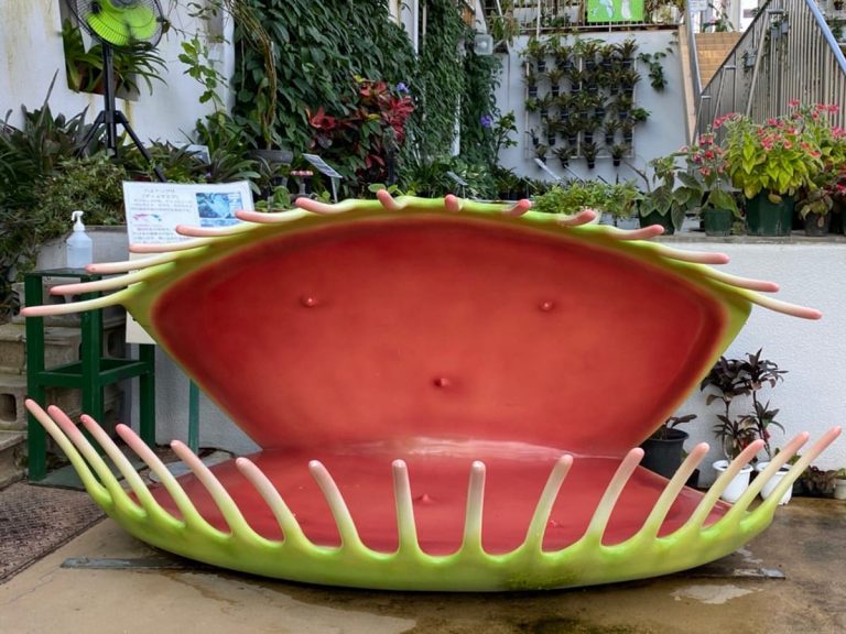 Botanical garden’s human-friendly carnivorous plant play equipment delights Japanese Twitter