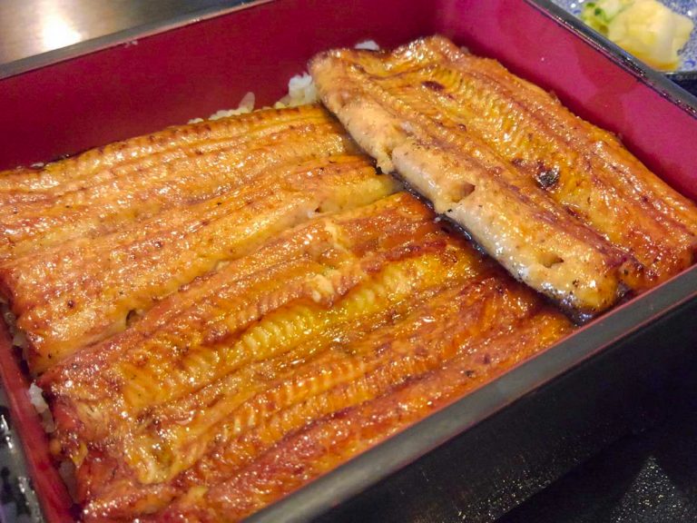 Unagi vs Anago – All you need to know about Japan’s gourmet eel dishes