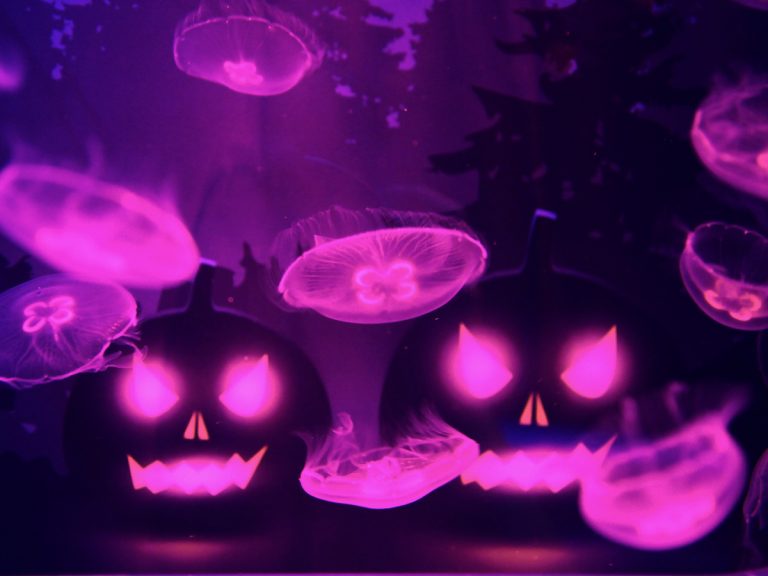 Sumida Aquarium gets spooky with jellyfish ‘ghost’ exhibition