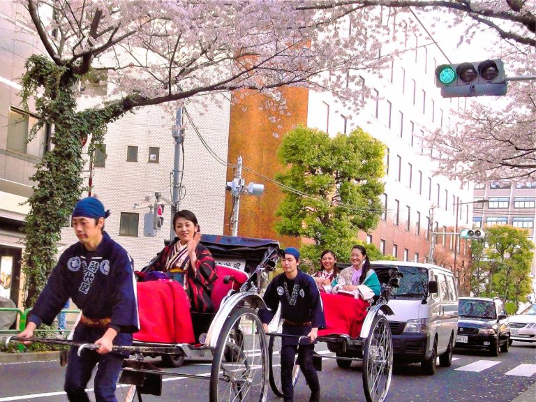 Enjoy a unique hanami this year with cherry blossom viewing rickshaw rides in Asakusa
