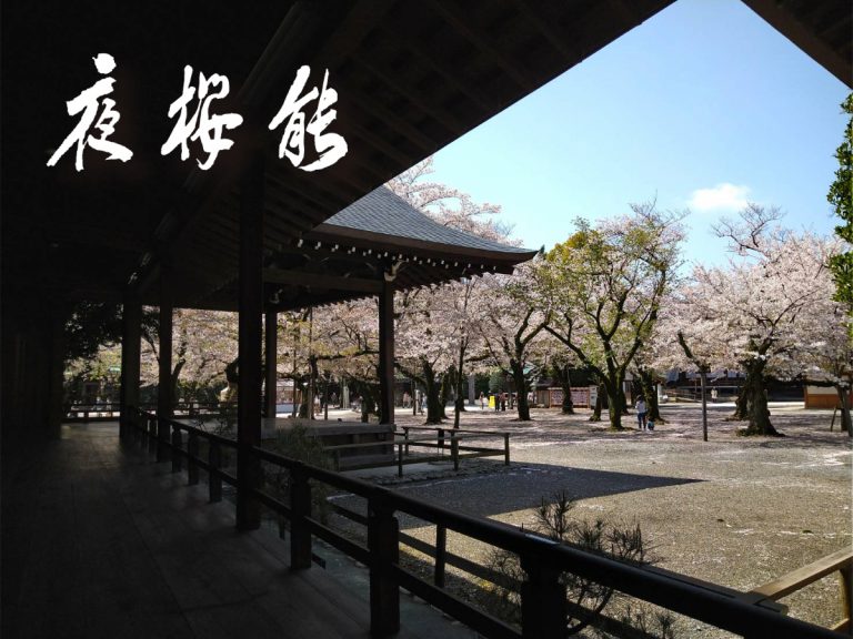 Yasukuni Shrine’s ‘Yozakura Noh’ sees evening performances held under sakura