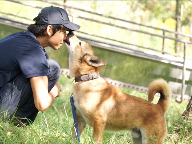 Peace Wanko Japan, the NGO that brought Hiroshima’s dog culling rate down to zero