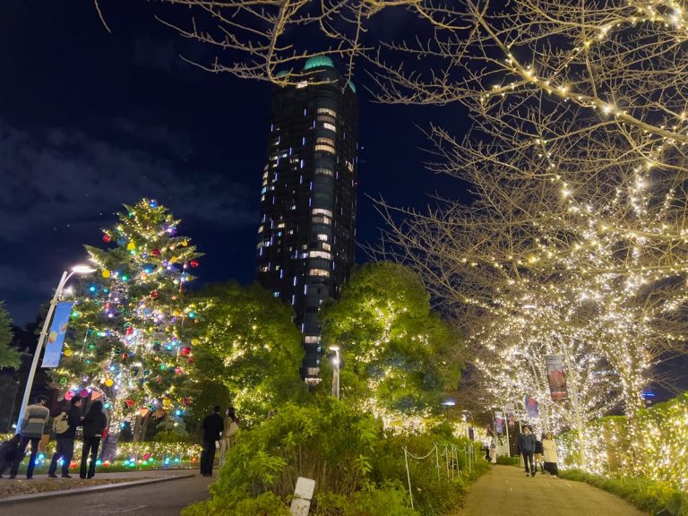 Winter illuminations: Enjoy the beautiful light shows around Tokyo