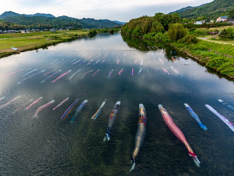 These Koinobori Carp Streamers Actually Swim! A Rare Tradition In Saba River, Yamaguchi Pref.
