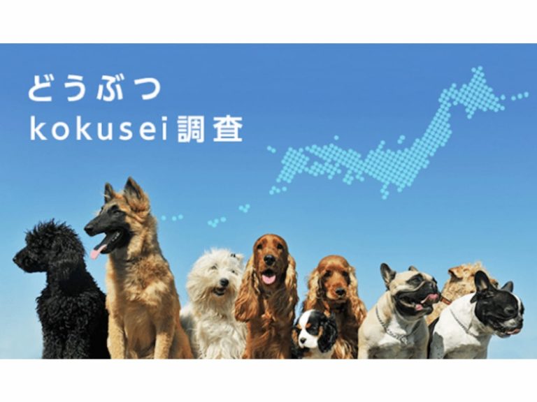 Survey of pet owners finds Japan’s dogs in rude good health