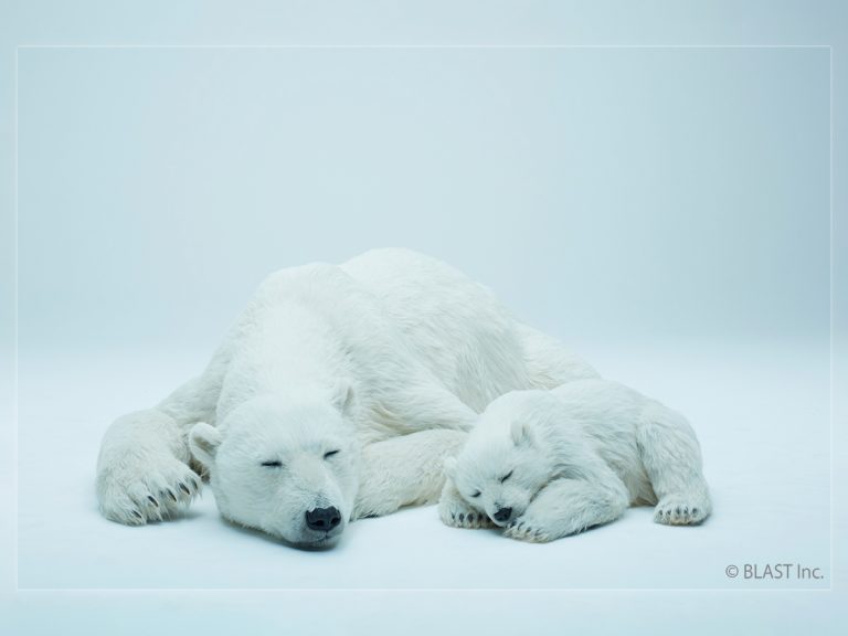 You Can Live With A Polar Bear Mother and Cub With These Life-Sized Art Masterpieces