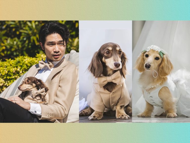 Sustainable canine fashion service upcycles owners’ jackets & coats into formal doggie wear