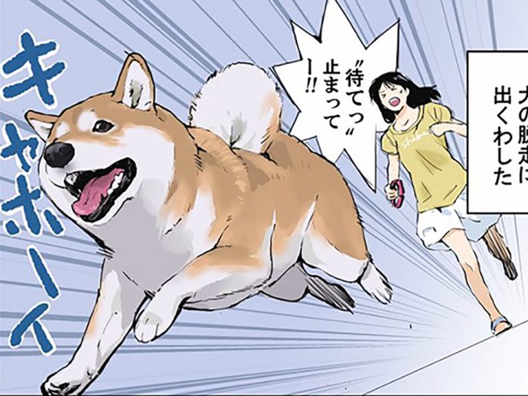 How to stop a runaway dog [Manga]