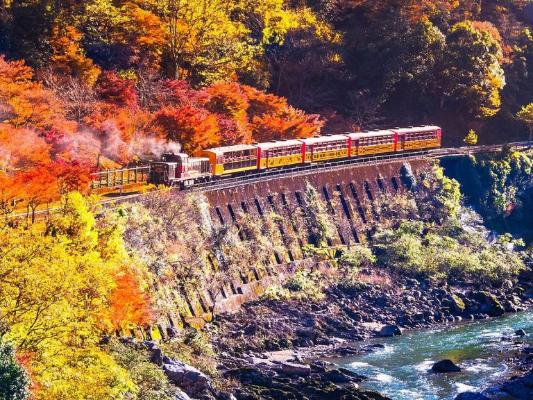 Ride the Sagano Romantic Train through the gorgeous fall foliage of Kyoto