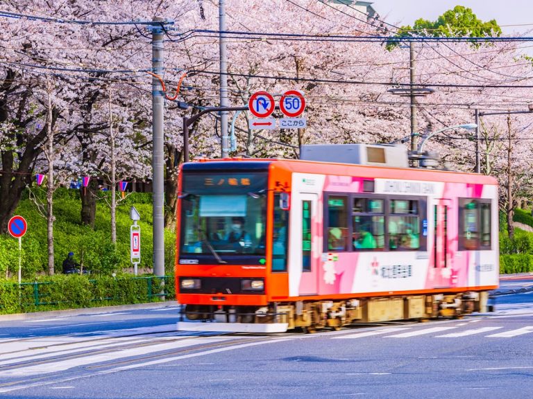 Tokyo’s last remaining streetcar provides beautiful views of sakura in bloom [4K Video]