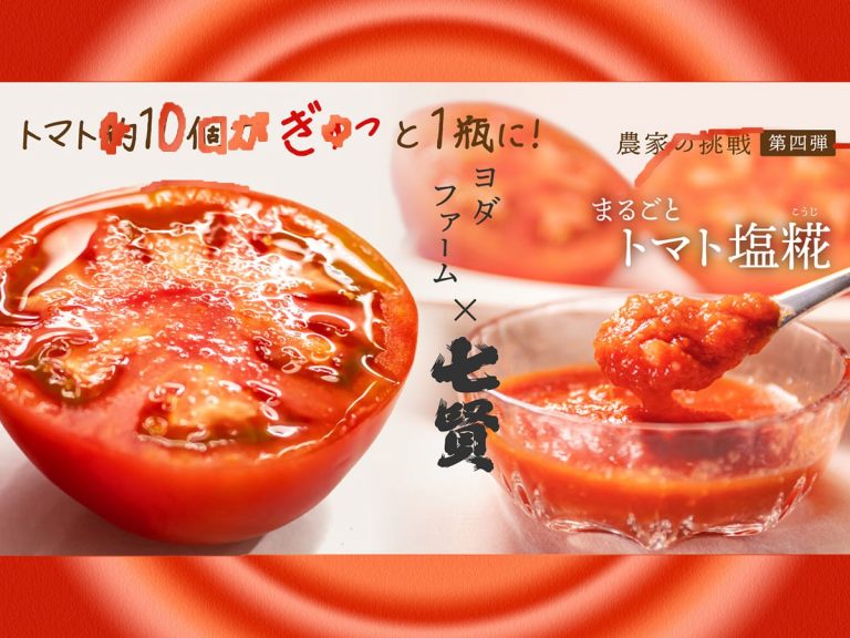 Japanese tomato farm and sake brewery cut food waste with tomato shiokōji using flawed produce