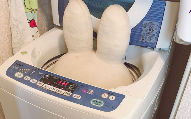 Giant Miffy the rabbit doll creates hilarious laundry chaos