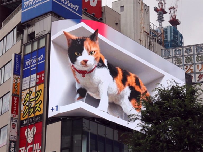 Giant prowling cat takes over new 3D digital ad space over Shinjuku station, meows and looks down at crowd