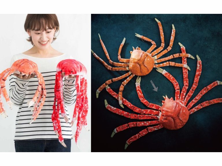 Surprisingly cuddly Japanese Spider Crab plushie sheds its shell to turn into even bigger plushie