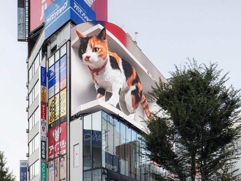 Shinjuku’s giant 3-D cat has hilarious glitch that reveals its true form