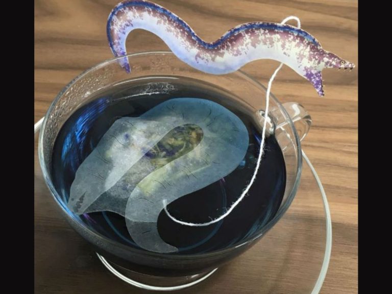 Have a swimming teatime with these color-changing Moray Eel teabags