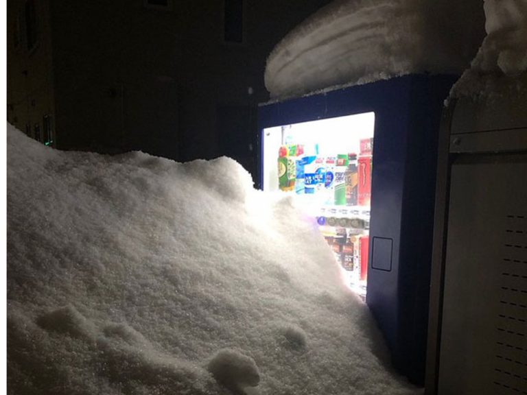 Japanese Twitter user chronicles 3 week quest to conquer inaccessible vending machine
