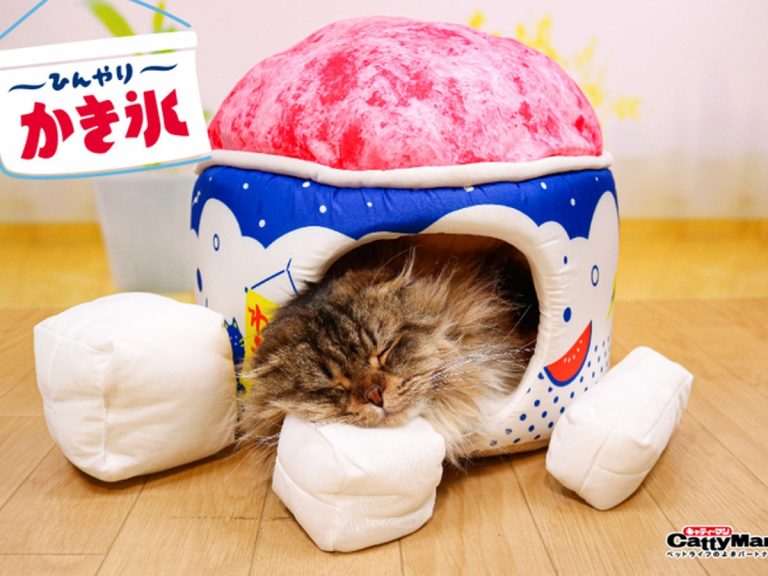 Retro Japanese snack pet beds turn your cats into shaved ice and fruit sandwiches