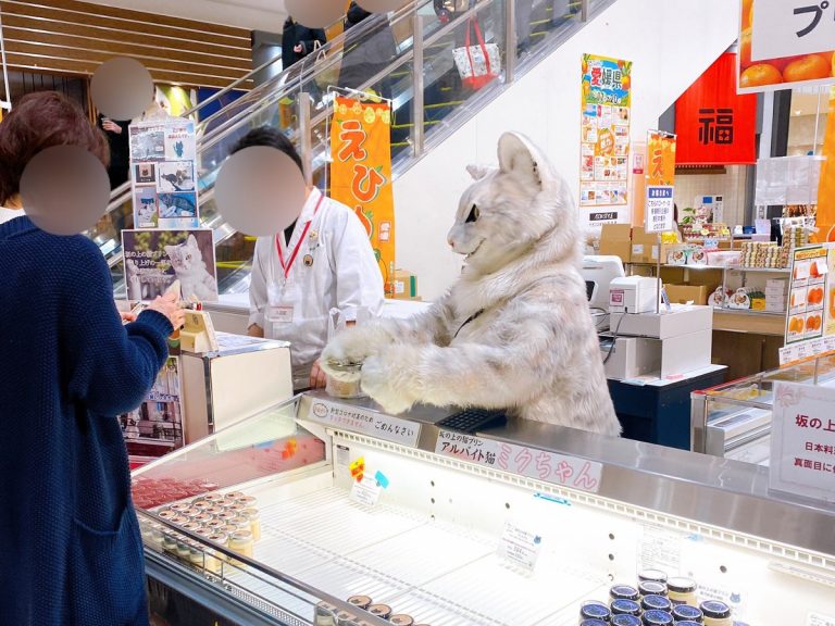 Giant cat prowls Japan selling kitty pudding to delight of the people