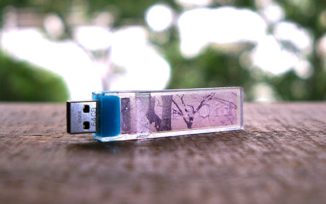 Save your cherry blossom party memories with this sakura USB stick