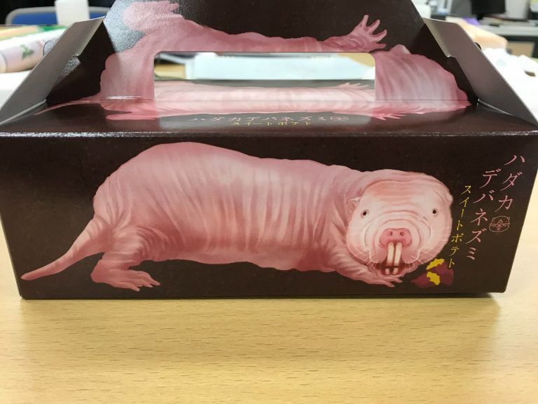Japan’s super realistic naked mole-rat sweet potato is ready to burrow into and terrify your tastebuds
