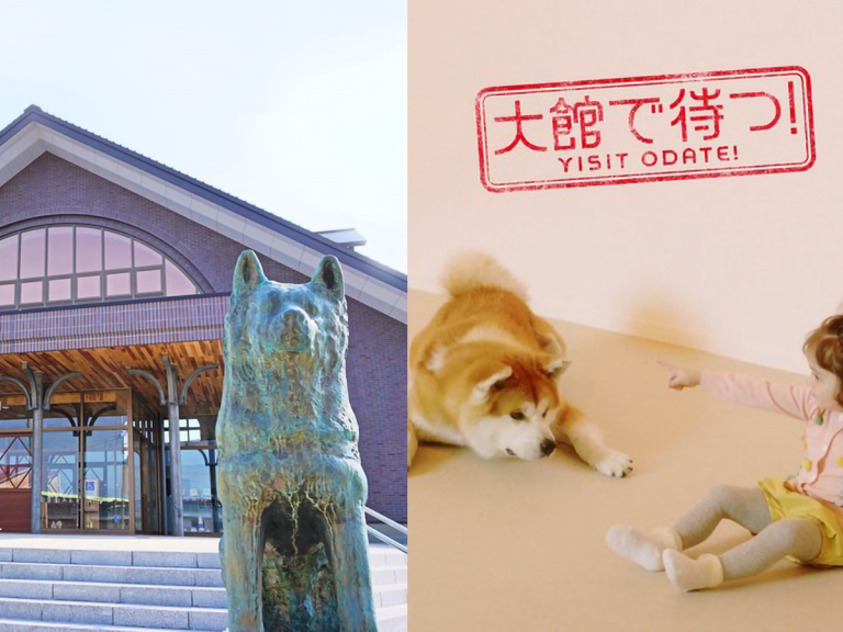 Odate City Opened an Akita Inu Museum Where You Can Even Meet an Akita Dog